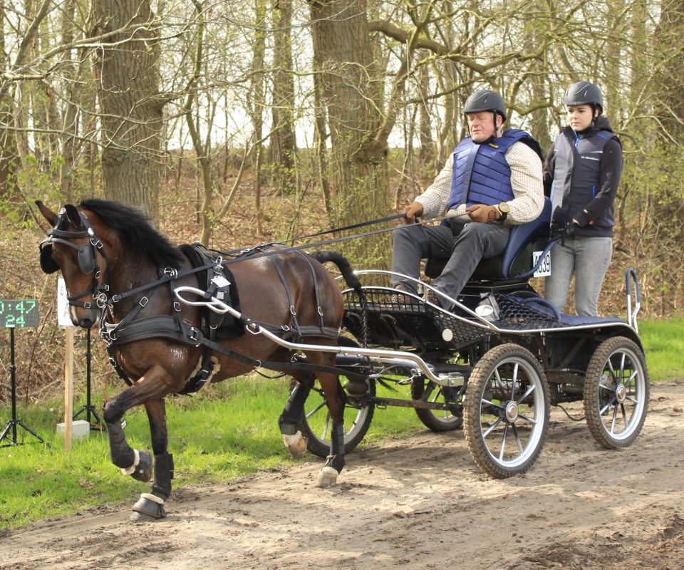 Stapleford Shake A Leg