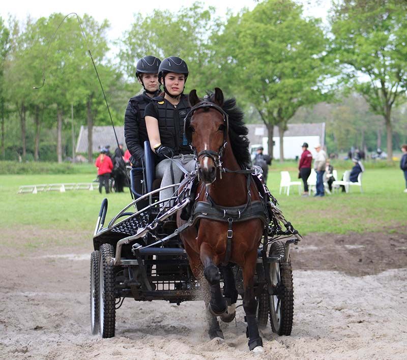 Vrienden van menteam De Heemhoeve