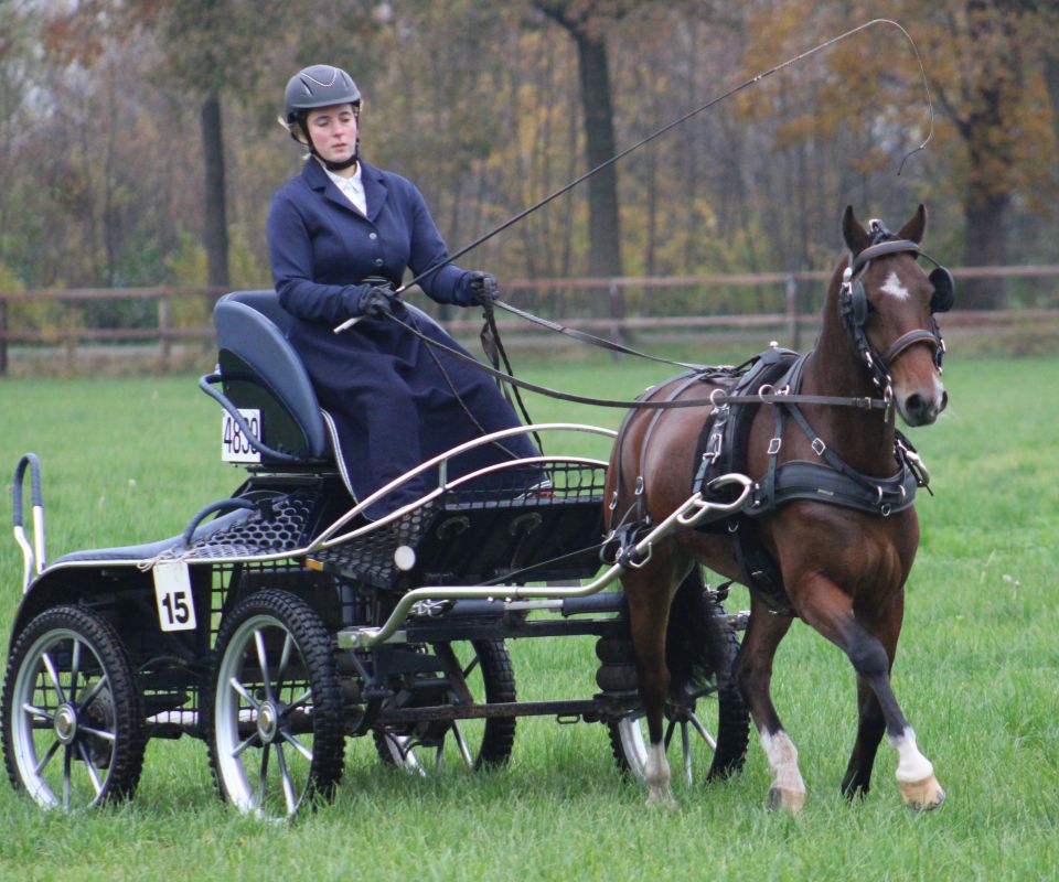 Stapleford Joint Venture